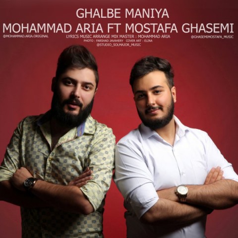 محمد آریا و مصطفی قاسمی قلب منیا